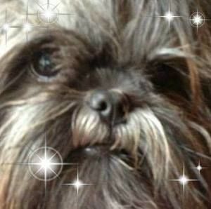 Meet your Posher, Catherine